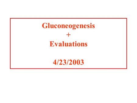 Gluconeogenesis + Evaluations 4/23/2003 Overview of Glucose Metabolism.