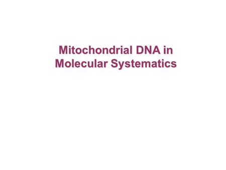 Mitochondrial DNA in Molecular Systematics. -organelle found in eukaryotic cells -cellular respiration – ATP production Mitochondria.