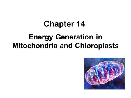 Energy Generation in Mitochondria and Chloroplasts