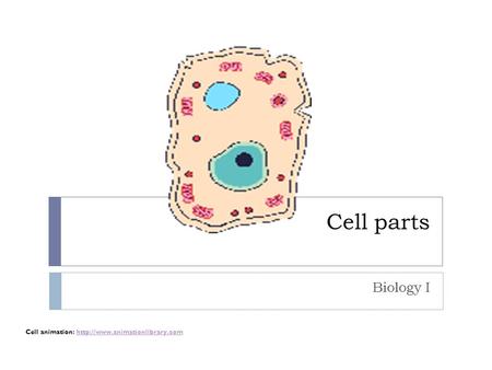 Cell parts Biology I Cell animation: