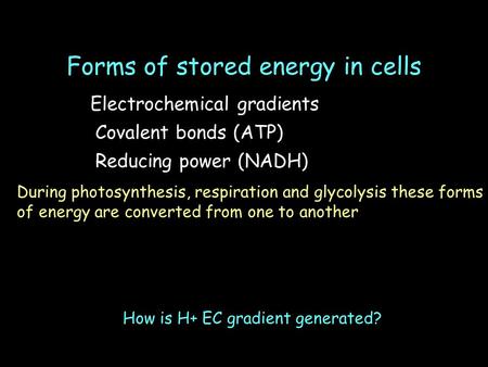 Forms of stored energy in cells Electrochemical gradients Covalent bonds (ATP) Reducing power (NADH) During photosynthesis, respiration and glycolysis.