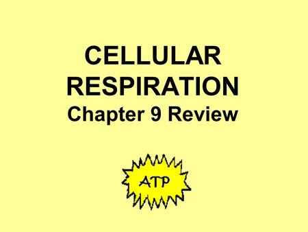 CELLULAR RESPIRATION Chapter 9 Review
