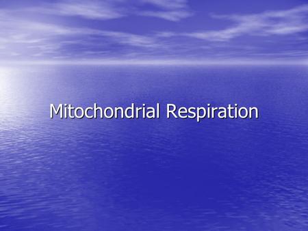 Mitochondrial Respiration. Respiration Glycolysis Glycolysis Citric acid cycle/kreb’s cycle Citric acid cycle/kreb’s cycle.