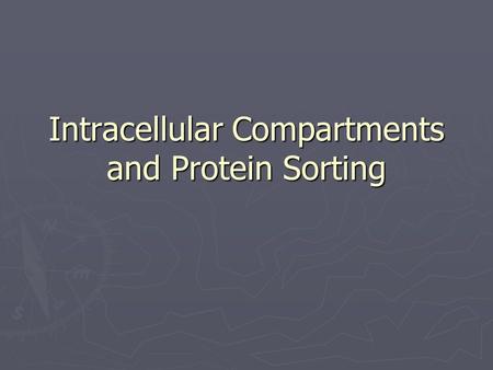 Intracellular Compartments and Protein Sorting. ► Functionally distinct membrane bound organelles ► 10 billion proteins of 10,000-20,00 diff kinds ► Complex.