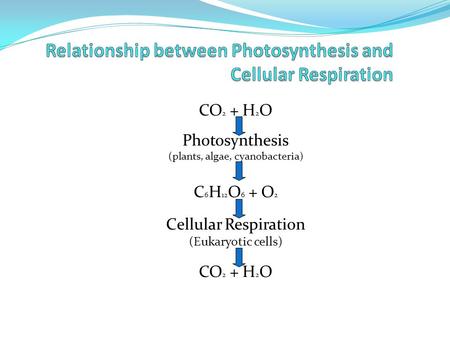 CO 2 + H 2 O Photosynthesis (plants, algae, cyanobacteria) C 6 H 12 O 6 + O 2 Cellular Respiration (Eukaryotic cells) CO 2 + H 2 O.