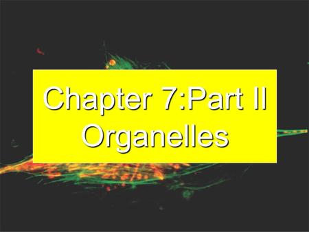 Chapter 7:Part Il Organelles Big Idea The eukaryotic cell contains organelles that allow the specialization and the separation of functions within the.