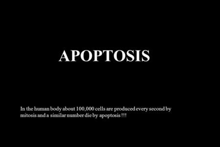 APOPTOSIS In the human body about 100,000 cells are produced every second by mitosis and a similar number die by apoptosis !!!