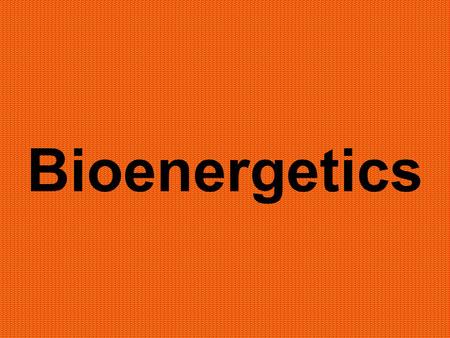 Bioenergetics.