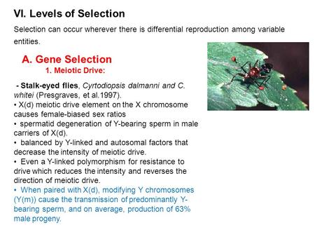 VI. Levels of Selection Selection can occur wherever there is differential reproduction among variable entities. A. Gene Selection 1. Meiotic Drive: -