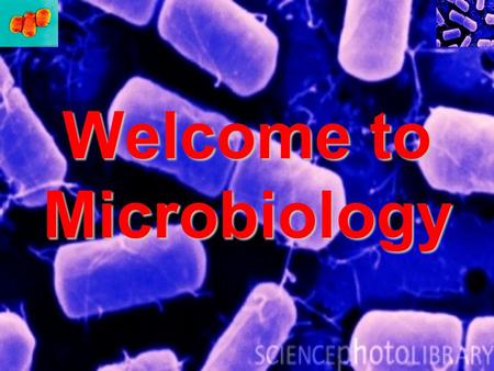 Welcome to Microbiology. Learning Objectives: To be able to describe characteristics of bacteria and the functions of each structure.