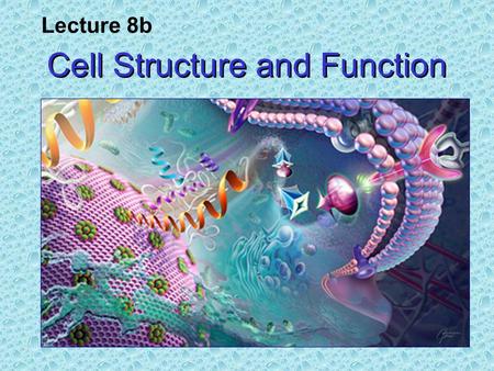 Cell Structure and Function Lecture 8b. The Cell Theory All living things are composed of cells. All cells are derived from pre- existing cells, i.e.,