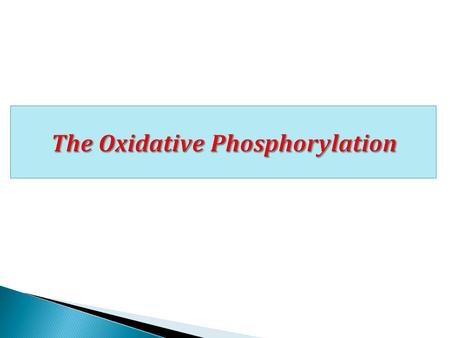 The Oxidative Phosphorylation.  ATP as energy currency  Mitochondria and the electron transport chain organization  Inhibitors of the electron transport.