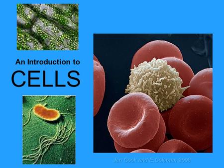An Introduction to CELLS Jen Cook and E.Coleman 2008.