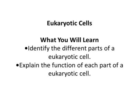 Eukaryotic Cells What You Will Learn •Identify the different parts of a eukaryotic cell. •Explain the function of each part of a eukaryotic cell.