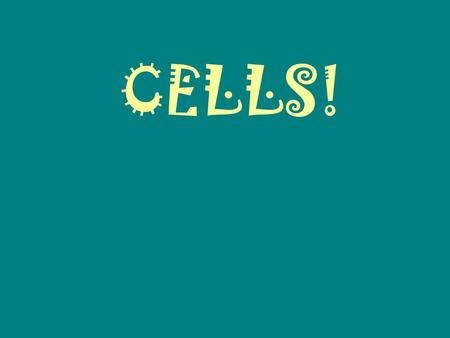 CELLS!.