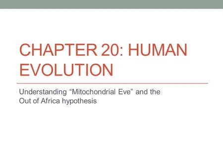 CHAPTER 20: HUMAN EVOLUTION Understanding “Mitochondrial Eve” and the Out of Africa hypothesis.