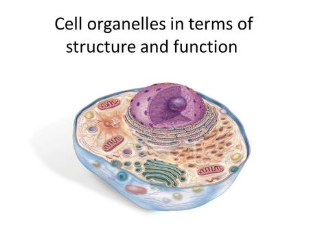Cell organelles in terms of structure and function.