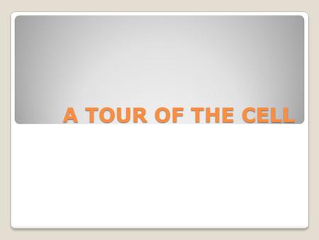 A TOUR OF THE CELL.