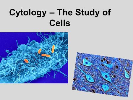 Cytology – The Study of Cells