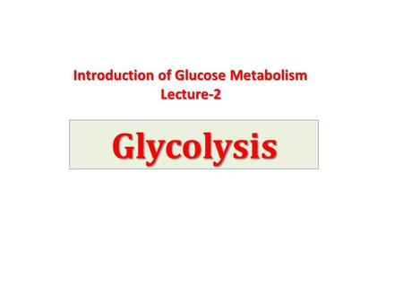 Introduction of Glucose Metabolism