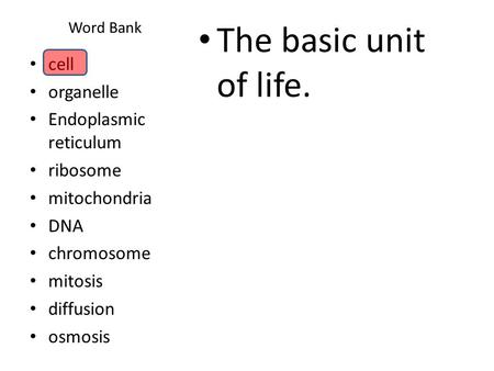 The basic unit of life. cell organelle Endoplasmic reticulum ribosome