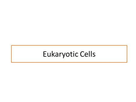 Eukaryotic Cells. Us vs. Them -Eukaryotes and Prokaryotes.