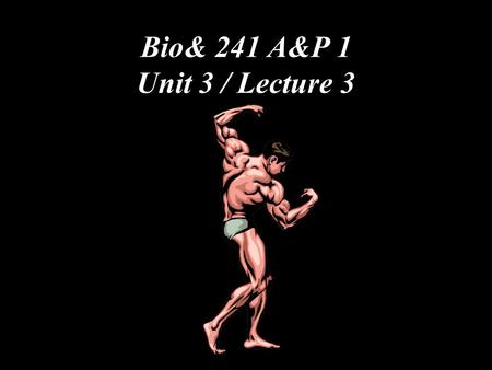 Bio& 241 A&P 1 Unit 3 / Lecture 3. Actions of Antagonistic Muscles Prime mover Antagonist.