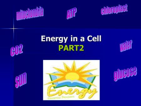 Energy in a Cell PART2. Predict: Why do we breathe?! Why do we breathe?! Why do we eat what plants produce? Why do we eat what plants produce?
