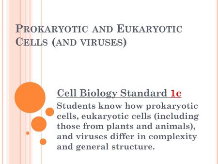 P ROKARYOTIC AND E UKARYOTIC C ELLS ( AND VIRUSES ) Cell Biology Standard 1c Students know how prokaryotic cells, eukaryotic cells (including those from.