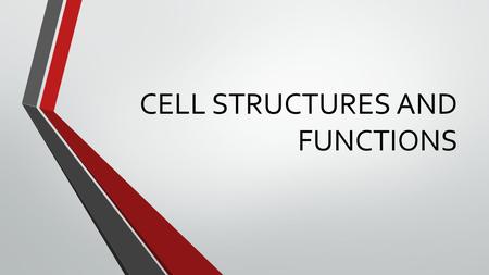CELL STRUCTURES AND FUNCTIONS