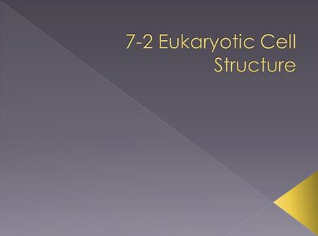 7-2 Eukaryotic Cell Structure