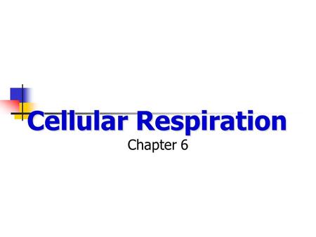 Cellular Respiration Chapter 6. Types of Energy?????