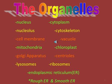 The Organelles -nucleus -cytoplasm -nucleolus -cytoskeleton
