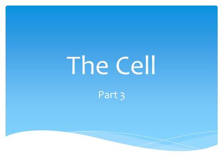 The Cell Part 3.