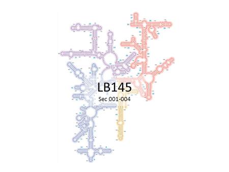 LB145 Sec 001-004. Today’s Outline Tutorial Reminder Homework #1: Results Homework #2: Assigned Organelles – Nucleus, RER, Golgi Apparatus, Cytoskeleton,