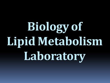 Biology of Lipid Metabolism Laboratory. People Lab head Matthew Watt Research Assistant Maria Matzaris.