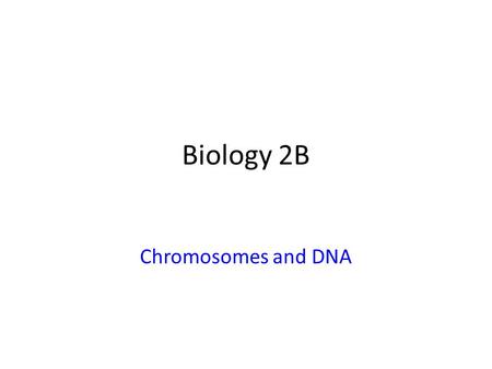 Biology 2B Chromosomes and DNA. Chromosomes Chromosomes are only visible during cell division They consist of two strands (chromatids) of tightly coiled.