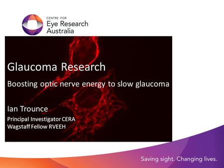 Glaucoma Research Boosting optic nerve energy to slow glaucoma Ian Trounce Principal Investigator CERA Wagstaff Fellow RVEEH.