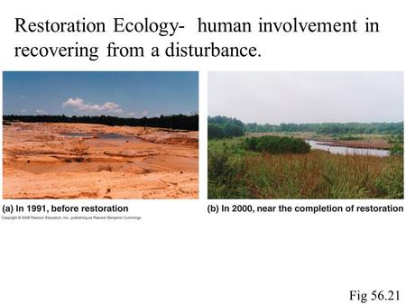 Fig 56.21 Restoration Ecology- human involvement in recovering from a disturbance.