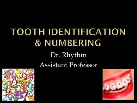 Dr. Rhythm Assistant Professor. The Dental Arch  The human dentition:  20 primary & 32 permanent teeth.