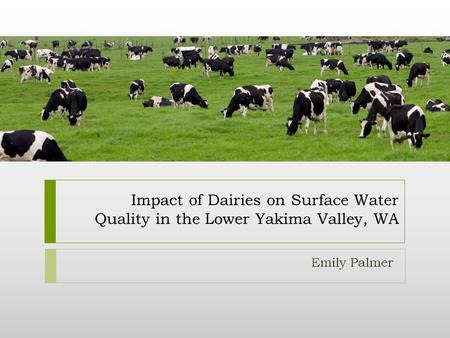 Impact of Dairies on Surface Water Quality in the Lower Yakima Valley, WA Emily Palmer.