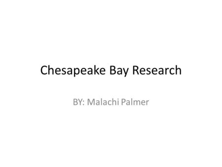 Chesapeake Bay Research BY: Malachi Palmer. Why is it important to have a variety of animals in the Bay? It is important to have a variety of living things.