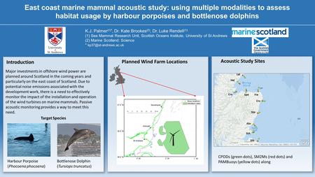 East coast marine mammal acoustic study: using multiple modalities to assess habitat usage by harbour porpoises and bottlenose dolphins K.J. Palmer (1)*,