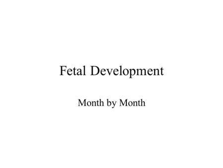 Fetal Development Month by Month.