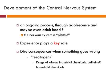Development of the Central Nervous System  an ongoing process, through adolescence and maybe even adult hood ?  the nervous system is “plastic”  Experience.
