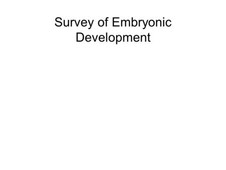 Survey of Embryonic Development