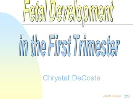 Fetal Development in the First Trimester Chrystal DeCoste.