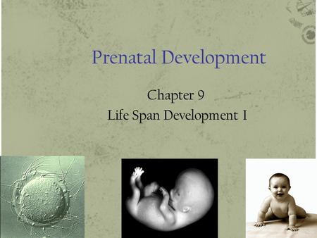 Prenatal Development Chapter 9 Life Span Development I.