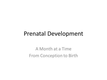 A Month at a Time From Conception to Birth