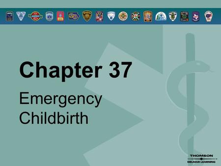 Chapter 37 Emergency Childbirth. © 2005 by Thomson Delmar Learning,a part of The Thomson Corporation. All Rights Reserved 2 Overview  Anatomy Review.